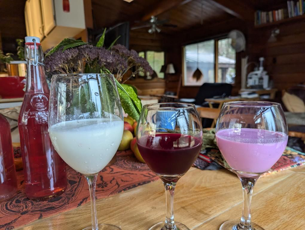 Picassoloaf fermented beverages on the Sunshine Coast BC